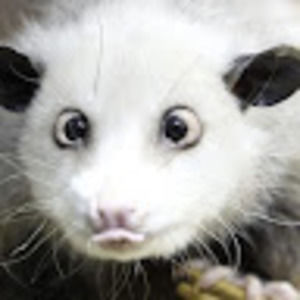 Meet your Posher, Marina